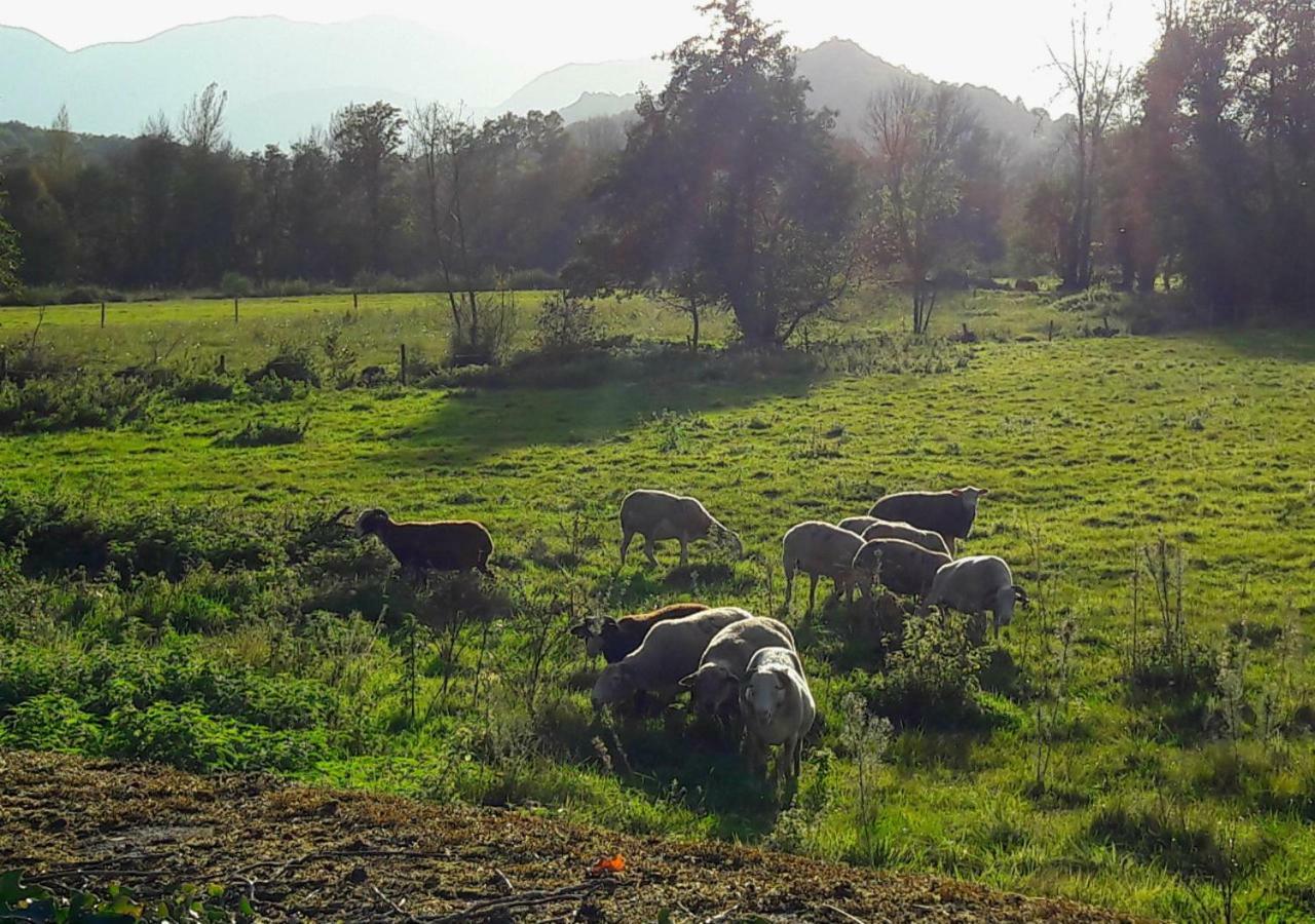 مبيت وإفطار Tuzaguet Domaine Lou Castet المظهر الخارجي الصورة